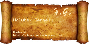 Holubek Gergely névjegykártya